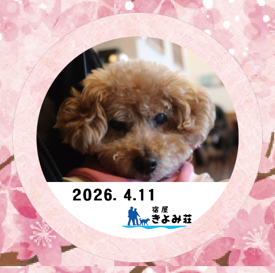 プリン