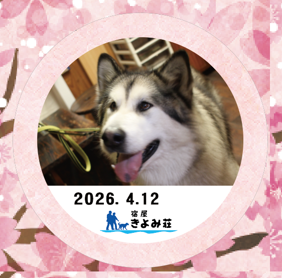 ハルク