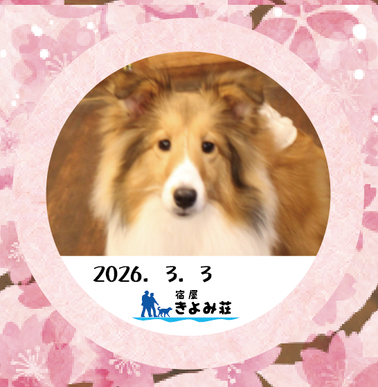 ノエル