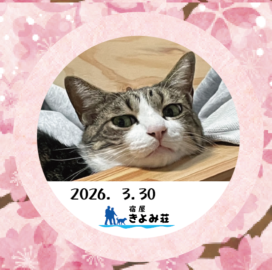レモン