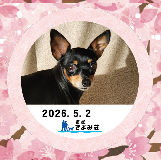 テミス