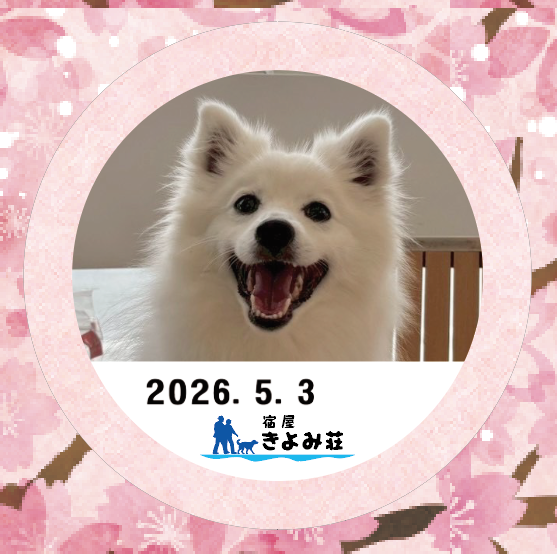 バニラ