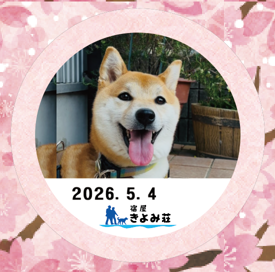 ハル