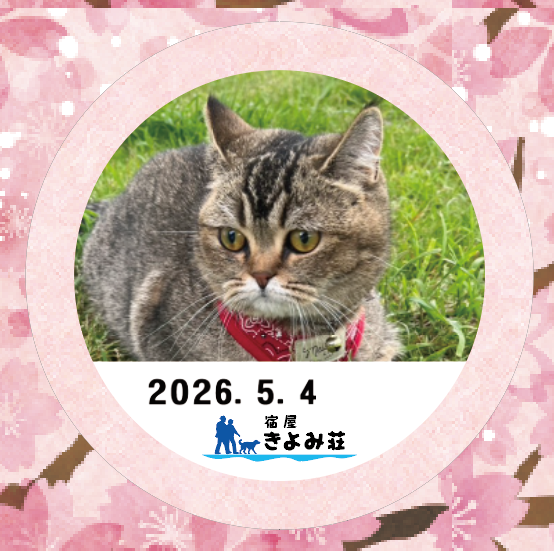なぎ