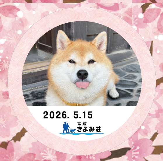 アサちゃん