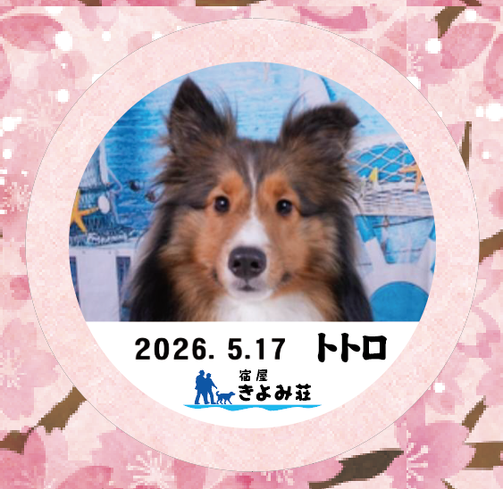 あおは