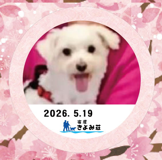 ラッキー