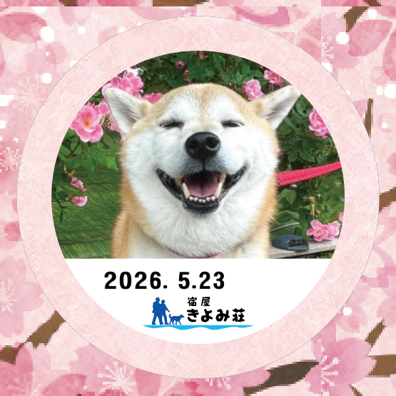 春