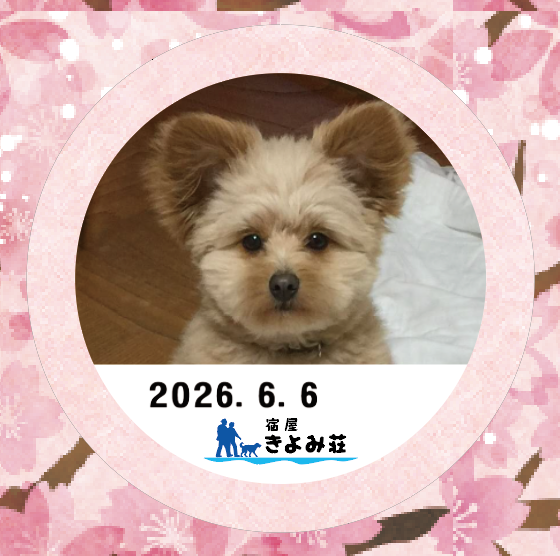 ベル