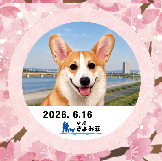 ソラ