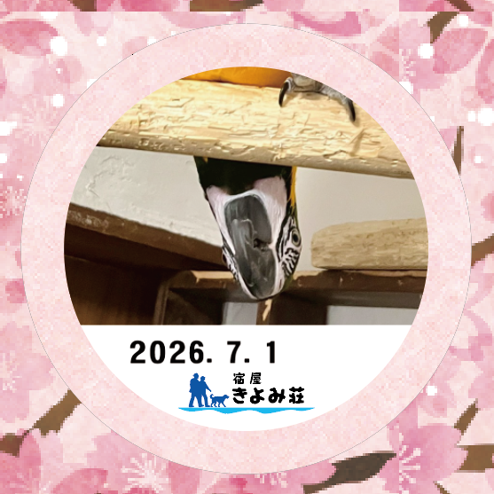 アララ