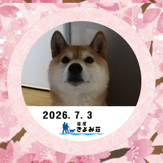 華