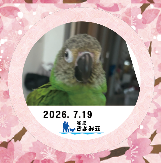 かぼす
