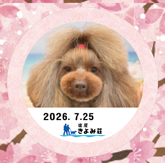 ココ