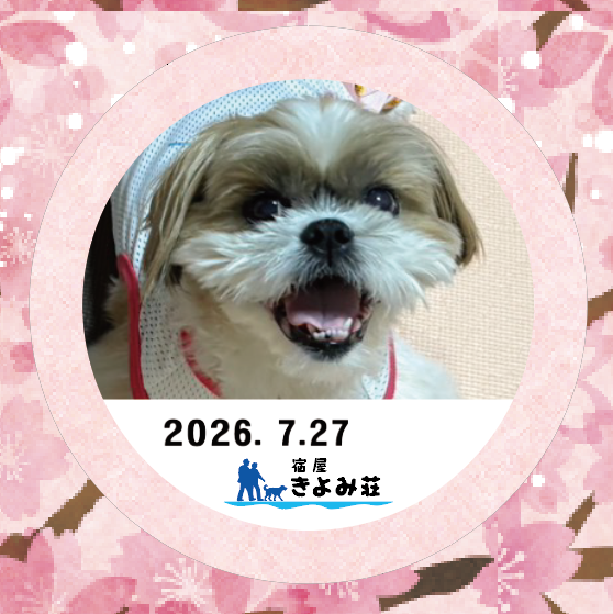 てんてん