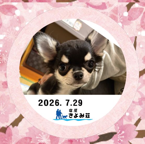 ラン