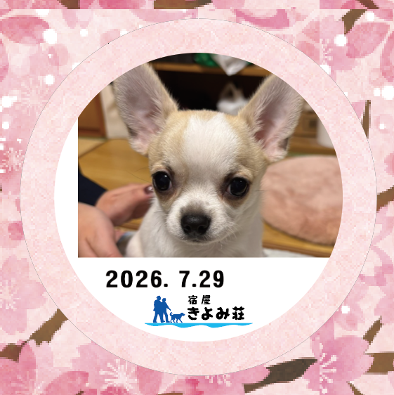 アム