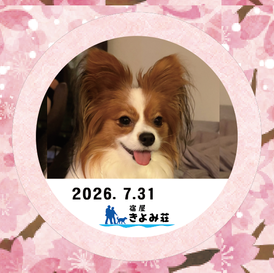 楓