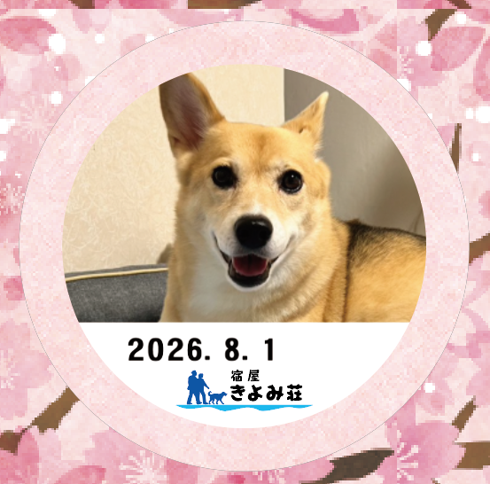 くぅ