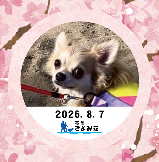 ちょびひげ