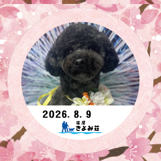 もずく