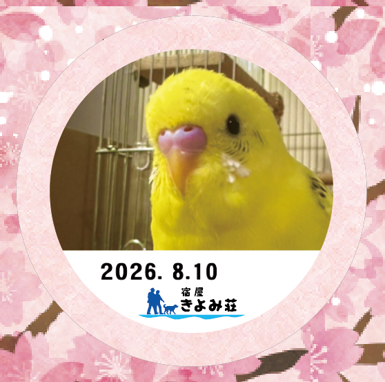にこ