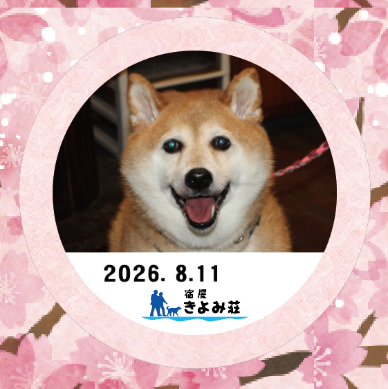 サスケ