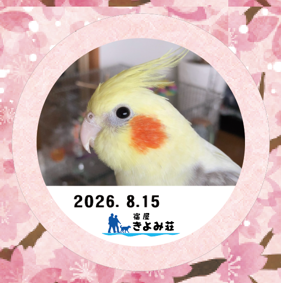 ココ