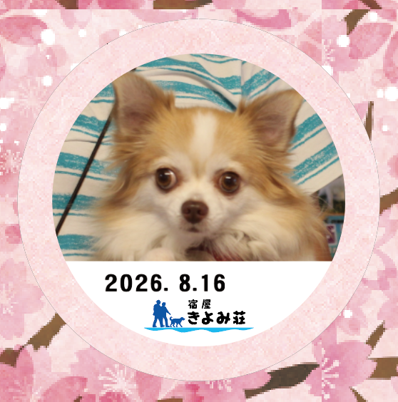 アンちゃん