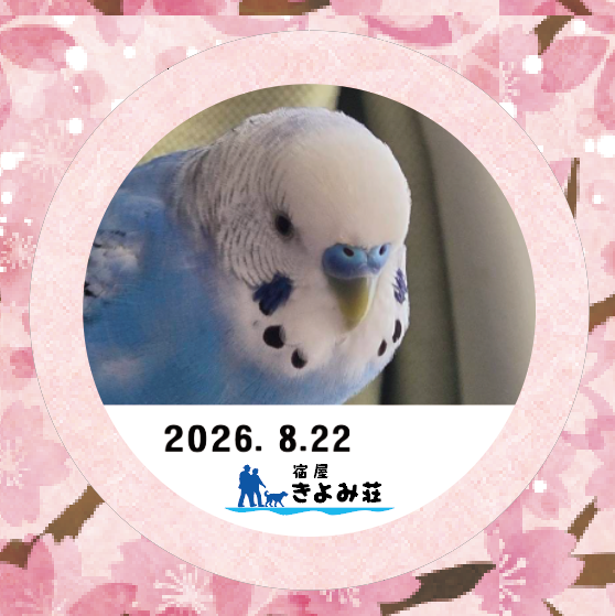 ぴろちゃん