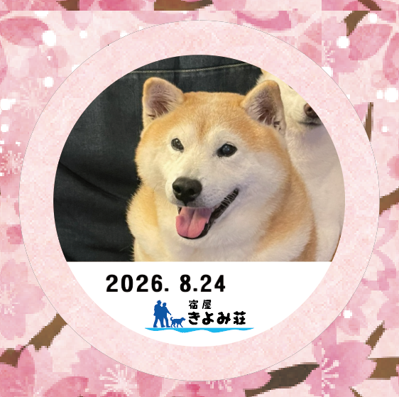こたろう
