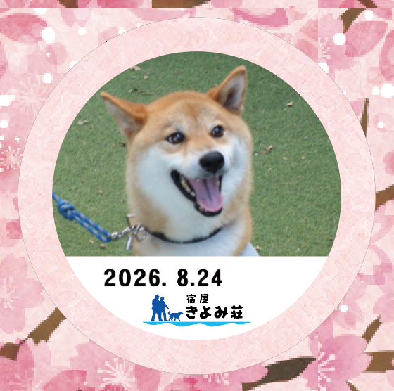 ソラ