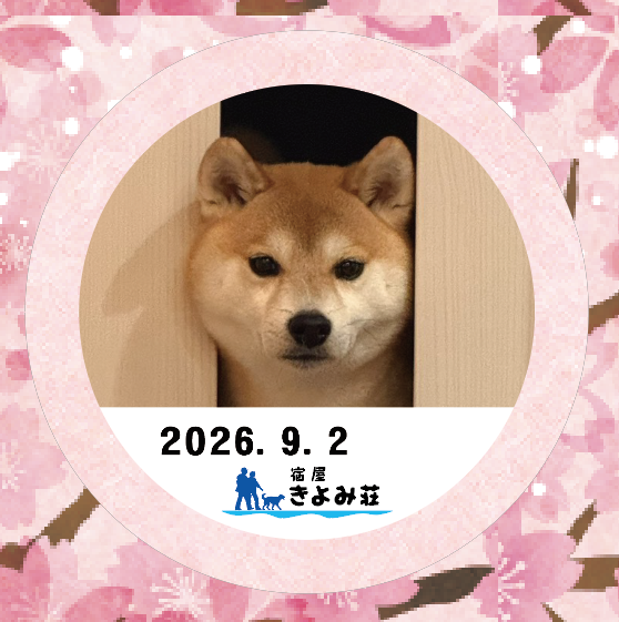 若　