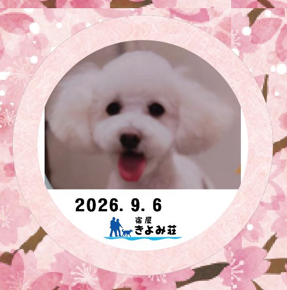 ハッピー