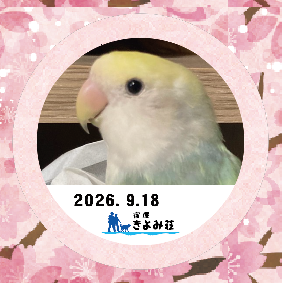 ユキ