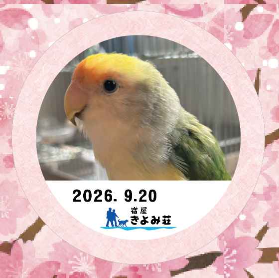 みどり