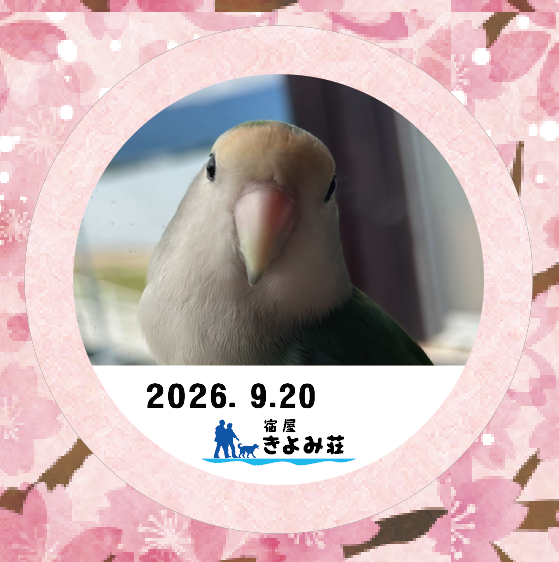 あお