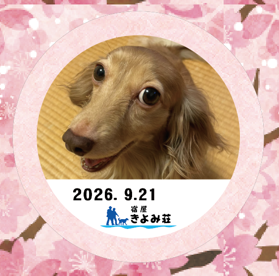 もか