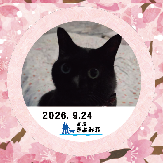 ポンちゃん