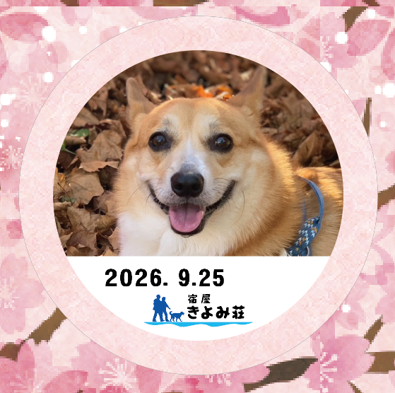 マロン