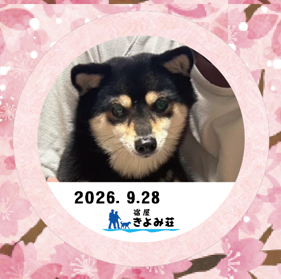 モモ