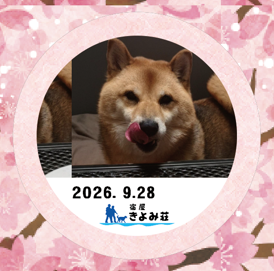 テツ